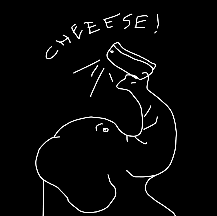Elephant taking selfie with CHEESE text